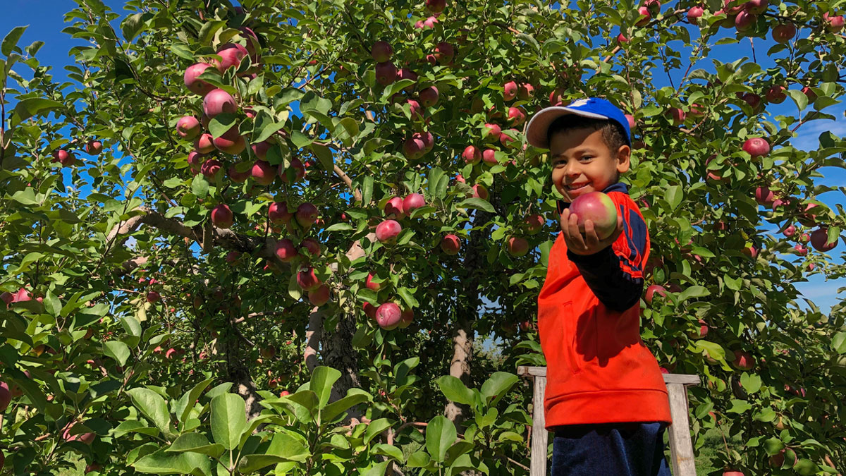 Kids Activities - Apple Hill Growers Association