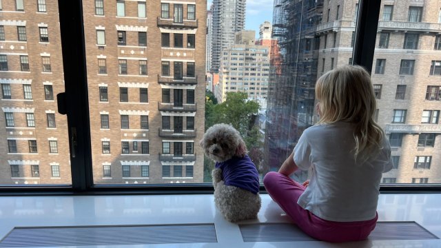 How the Loews Regency Makes Your New York Trip Easy for Everyone (Even Your Pets!)