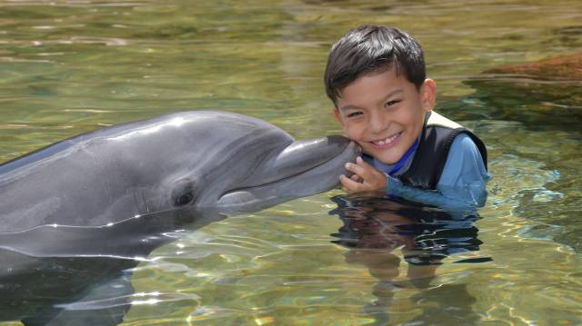 smiling boy with dimples next to dolphin at Discovery Cove in Orlando, Florida