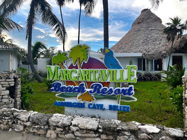 Margaritaville Beach Resort Ambergris Caye, Belize signage with palm trees and a parrot on it