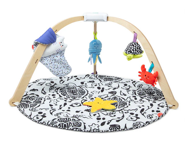 Melissa & Doug Ocean Easy Fold Play Gym is one of the best newborn baby gifts