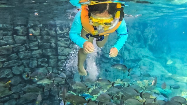 girl in yellow life vest and yellow snorkel in Discovery Cove