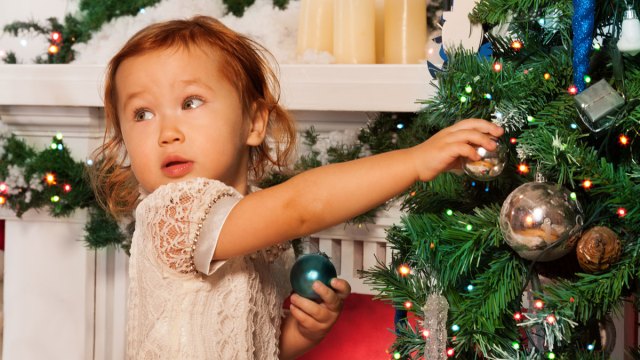 toddler touching a Christmas tree