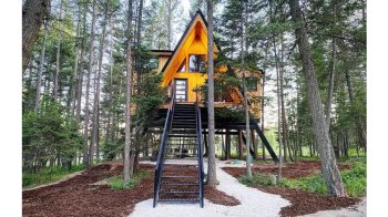 A treehouse in Montana is one of the best Airbnbs for kids in the United States