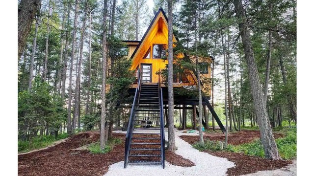 29 Epic Treehouses Across the US You Can Rent with Your Kids