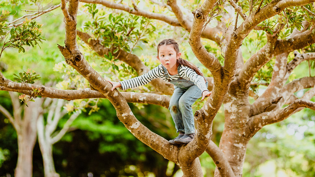 https://tinybeans.com/wp-content/uploads/2024/01/kid-climbing-a-tree-what-to-say-when-kid-taking-risks.jpg?w=1200&zoom=2.625