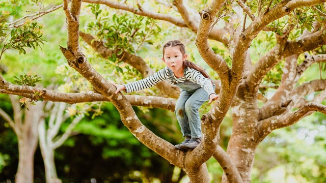 young girl climbing a tree