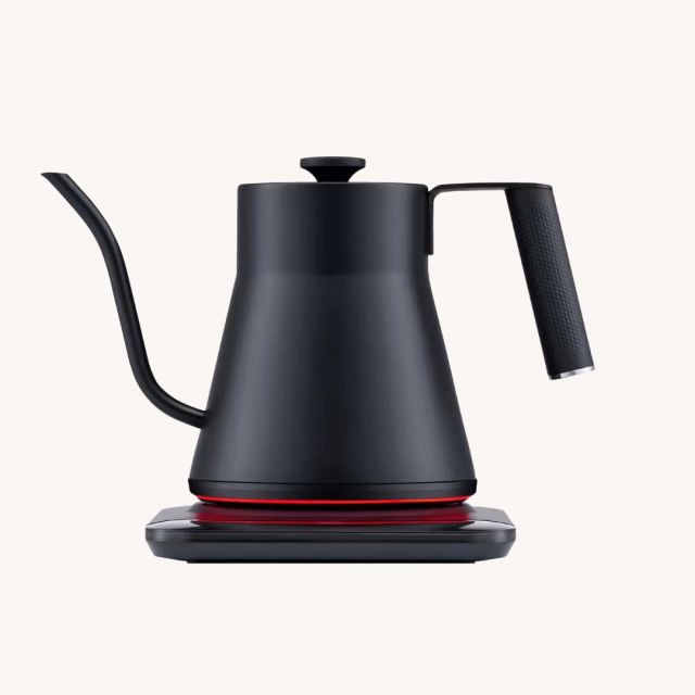 black gooseneck electric tea kettle
