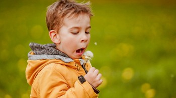 little boy holding dandelion about to sneeze