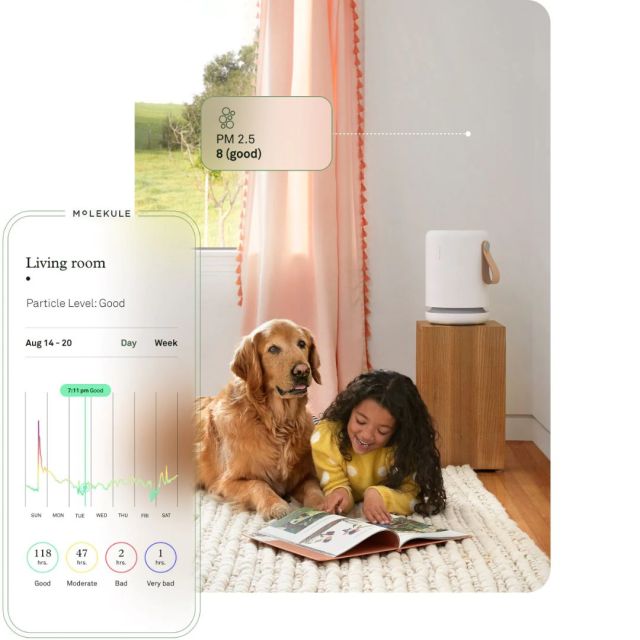 little girl with dog next to an air purifier and mock up of corresponding phone app