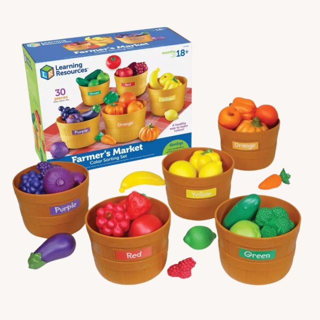 set of fruit sorting toys