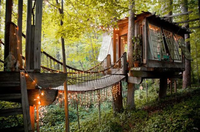 treehouse in woods