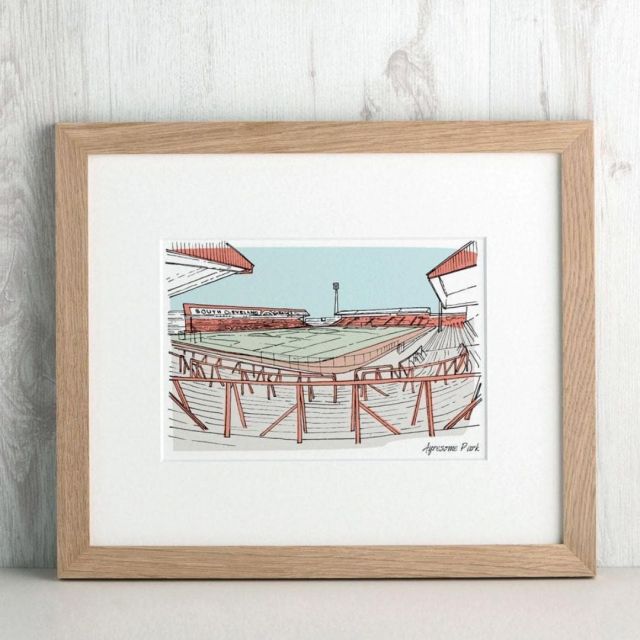 framed print of sports stadium