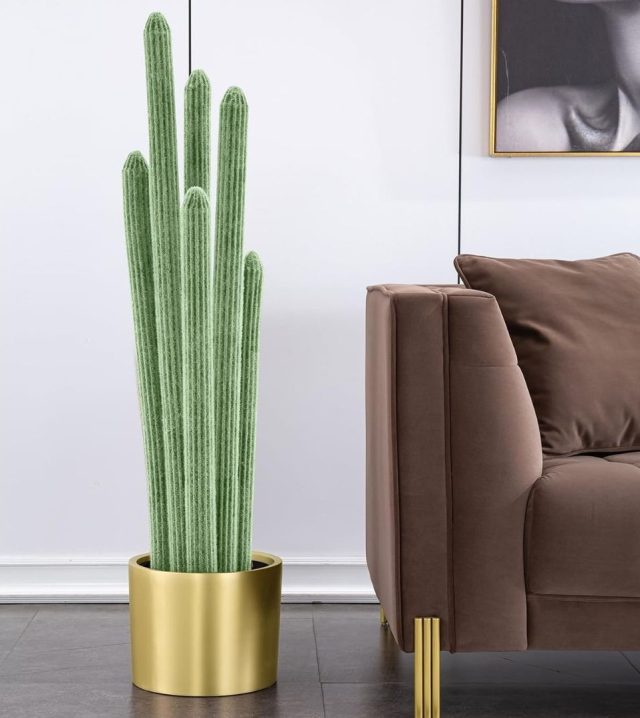 faux cactus next to sofa in living room