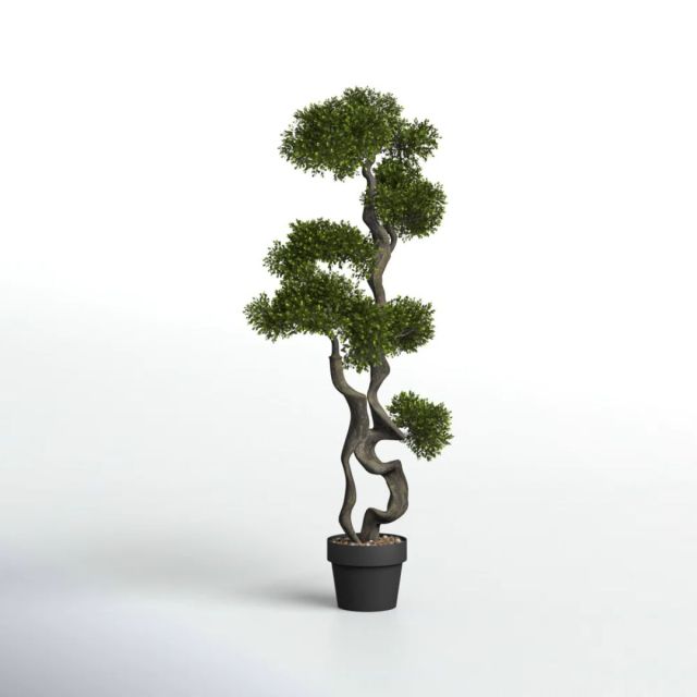 faux bonsai tree