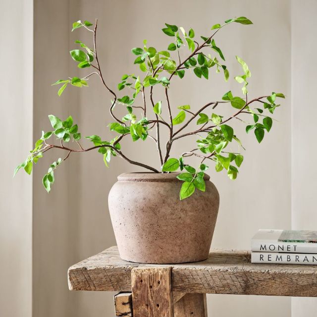 faux bursera plant in brown pot on rustic table