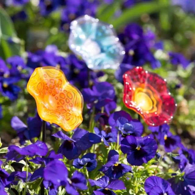 flower shaped garden picks among purple flowers