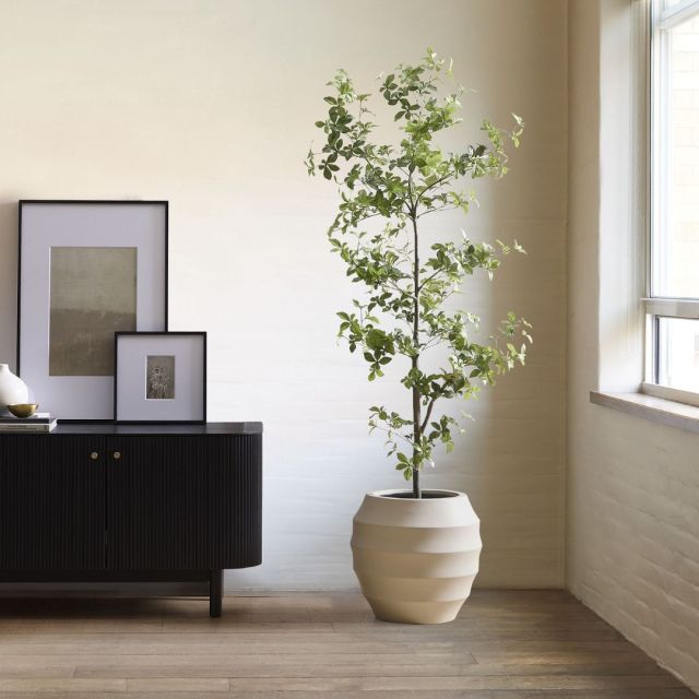 a faux quince plant in living room