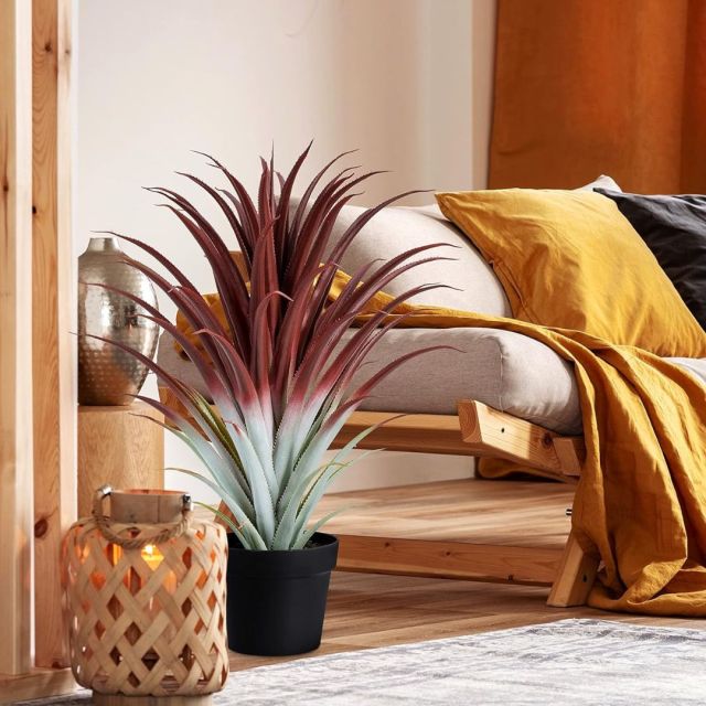 big red aloe plant in boho style living room