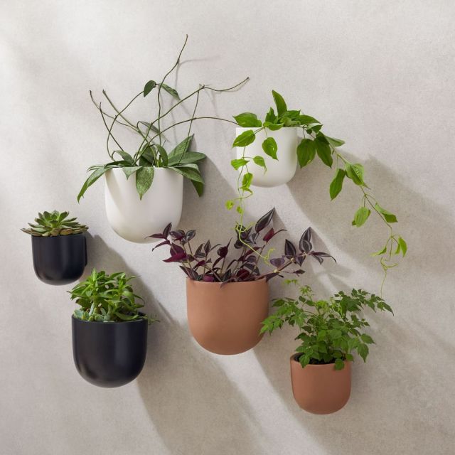 assortment of outdoor wall mounted planters