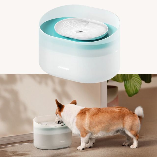 capsule dog bowl