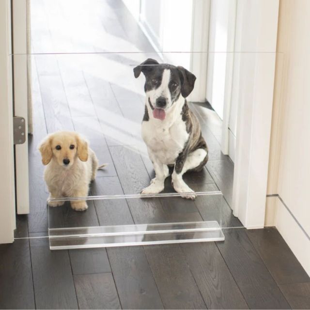 two dogs standing behind a clear acrylic pet gate