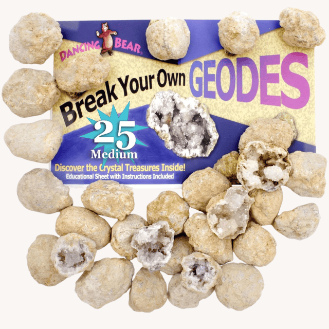 Birthday party favors for kids Break Your Own Geodes