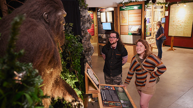 Two people looking at a giant Bigfoot display at the North American Bigfoot Center in Oregon Mt Hood