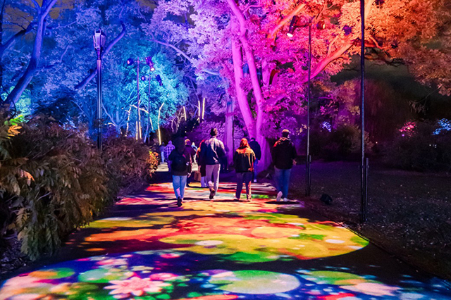 Lightscape at botanial gardens across America is one of the best holiday events for families