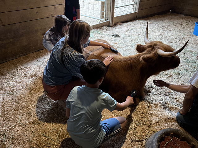 Highland Farms is a family must on an Oregon road trip