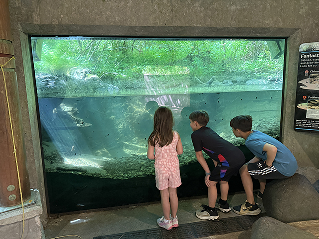 Wildwood Recreation Site is a great stop for families on an Oregon road trip