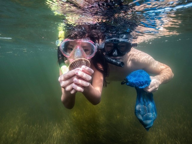 Wearing snorkels while scalloping in Citrus County